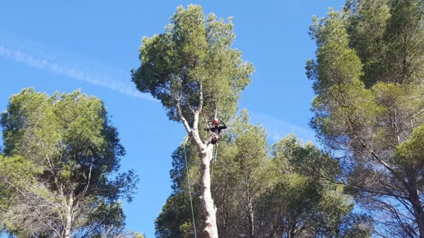 Sequoia SARL